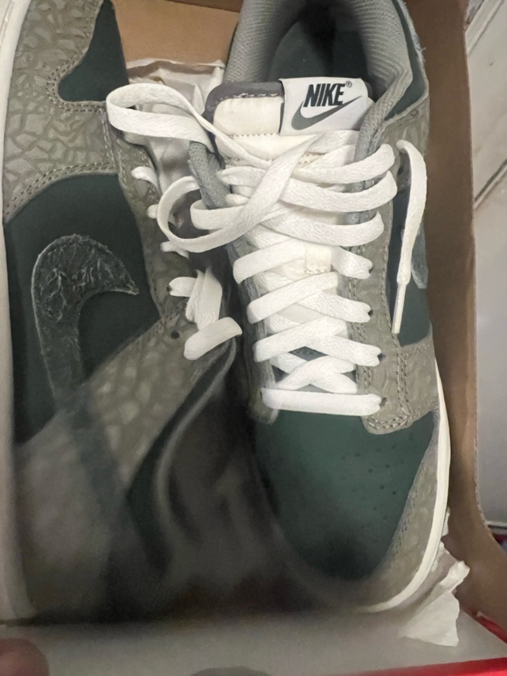 Nike Dunk Low Men’s Sneakers Green and Gray Nike Dunk Low - Picture 4 of 5